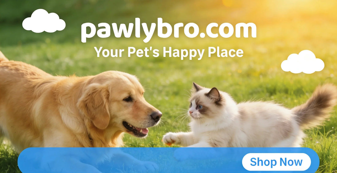 About Pawlybro — Where Every Paw Is Family