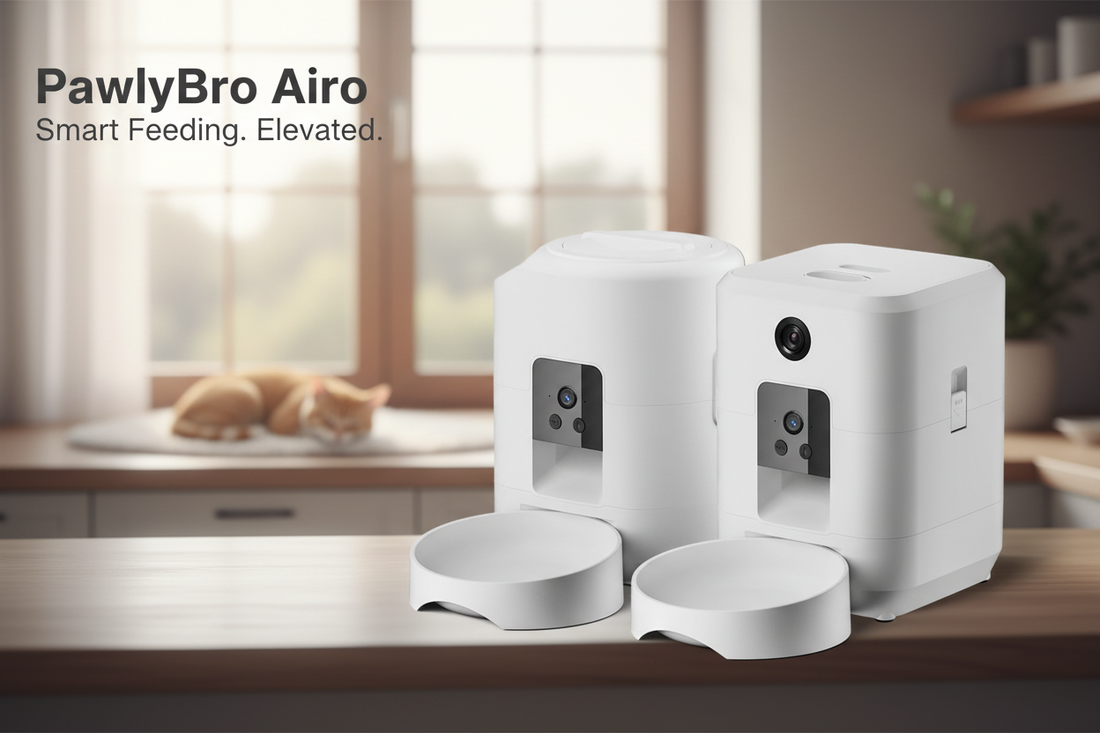 How Automatic Cat Feeders Solve Busy Pet Parents’ Daily Headaches
